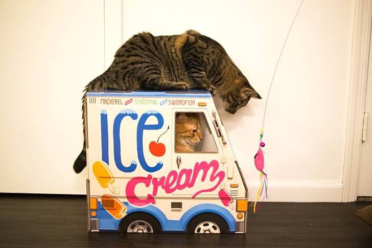 Cats drive a <a href="http://famousoto.com/">Famous OTO</a> Ice Cream Truck for Cats!<br>